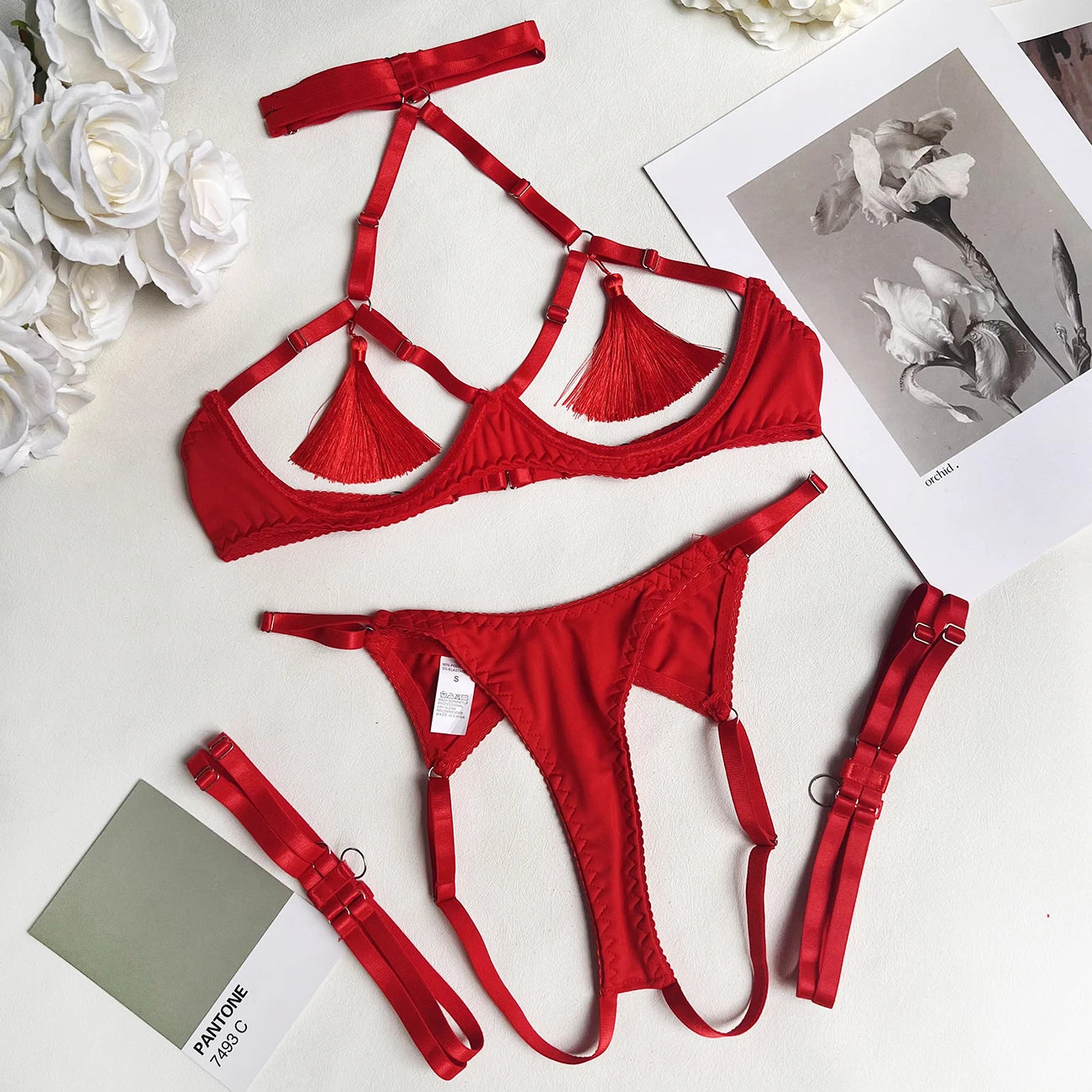 Sheer Tassel Lingerie Set Sensual See-Through Fetish Style - Pik A Pleasure