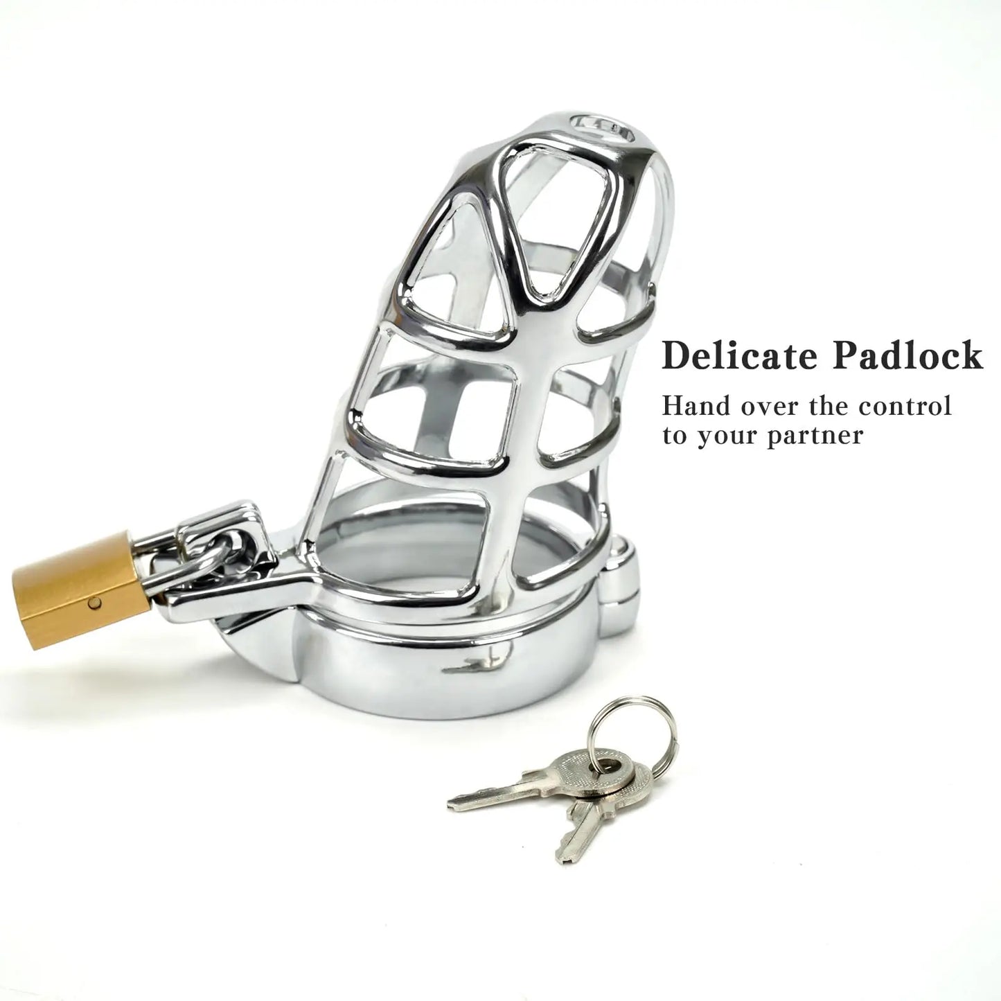 Zinc Cock Cage Male Chastity Device